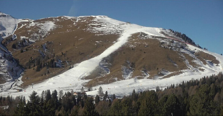 Webcam Bellamonte-Alpe Lusia  - Pista direttissima Le Cune