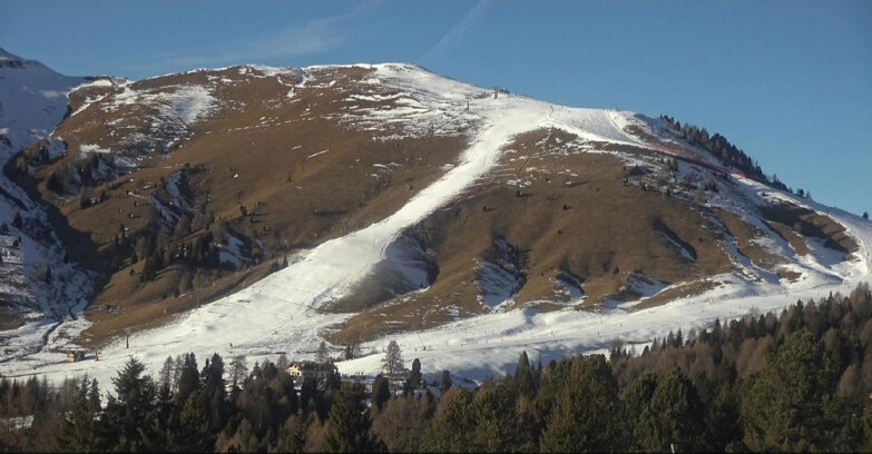 Webcam Bellamonte-Alpe Lusia  - Pista direttissima Le Cune