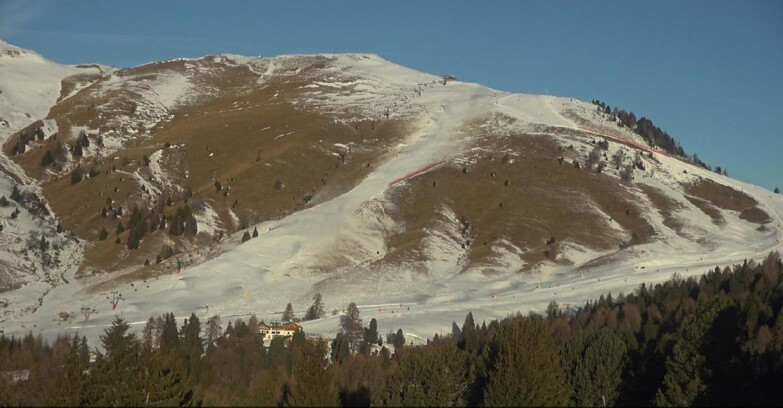 Webcam Bellamonte-Alpe Lusia - Pista direttissima Le Cune
