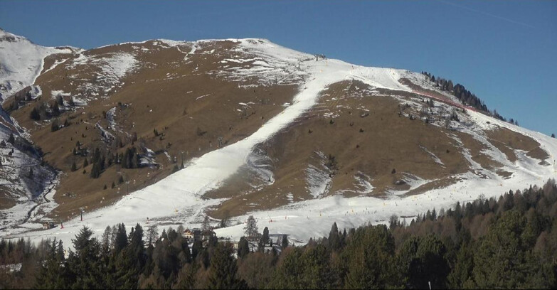 Webcam Bellamonte-Alpe Lusia  - Pista direttissima Le Cune