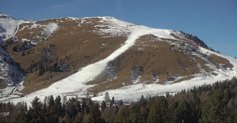 Webcam Bellamonte-Alpe Lusia  - Pista direttissima Le Cune