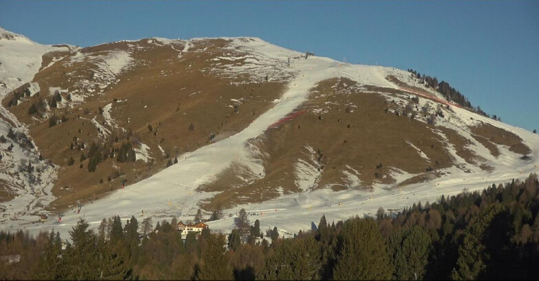Webcam Bellamonte-Alpe Lusia  - Pista direttissima Le Cune