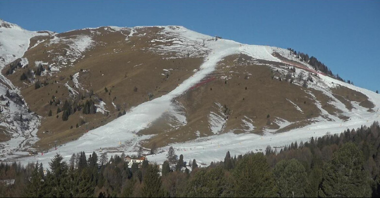 Webcam Bellamonte-Alpe Lusia - Pista direttissima Le Cune