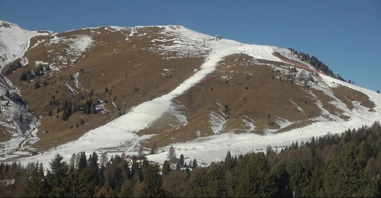 Webcam Bellamonte-Alpe Lusia - Pista direttissima Le Cune