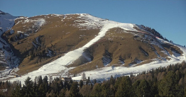 Webcam Bellamonte-Alpe Lusia - Pista direttissima Le Cune
