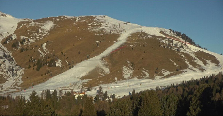 Webcam Bellamonte-Alpe Lusia - Pista direttissima Le Cune