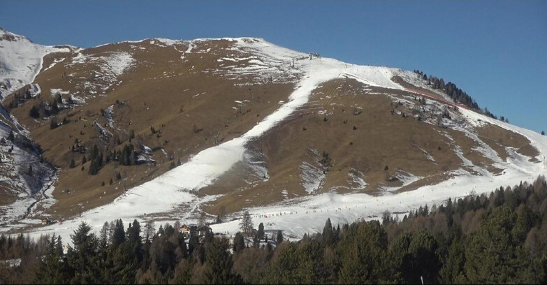 Webcam Bellamonte-Alpe Lusia - Pista direttissima Le Cune
