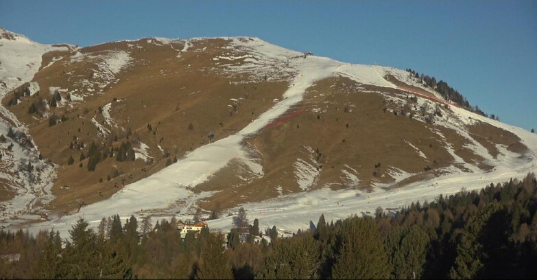 Webcam Bellamonte-Alpe Lusia - Pista direttissima Le Cune
