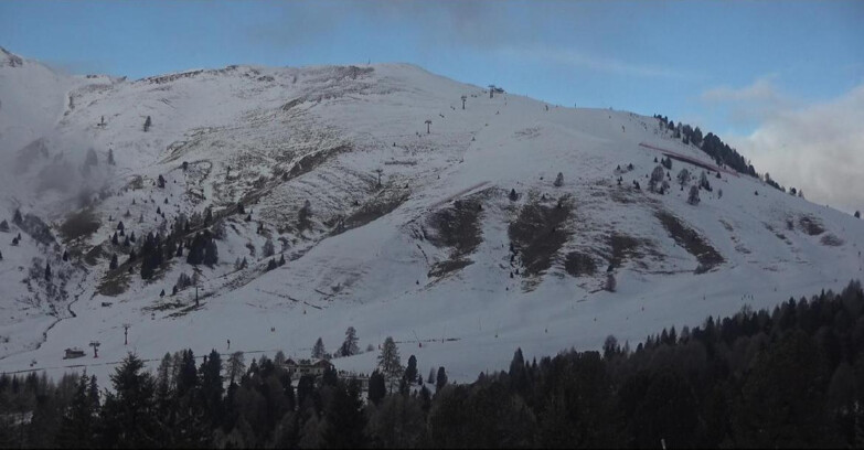 Webcam Bellamonte-Alpe Lusia - Pista direttissima Le Cune