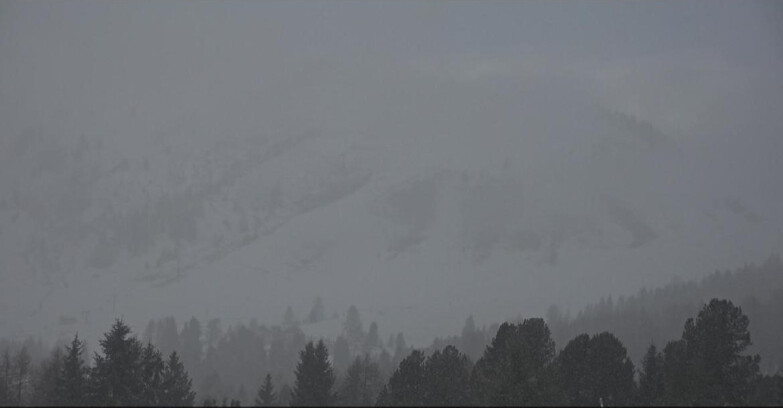 Webcam Bellamonte-Alpe Lusia - Pista direttissima Le Cune