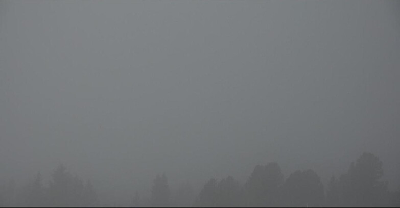 Webcam Bellamonte-Alpe Lusia - Pista direttissima Le Cune