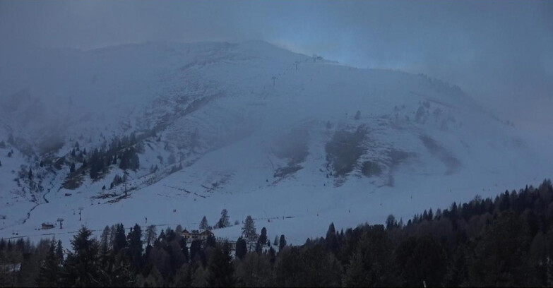 Webcam Bellamonte-Alpe Lusia - Pista direttissima Le Cune