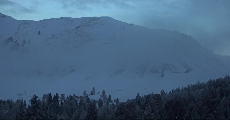 Webcam Bellamonte-Alpe Lusia  - Pista direttissima Le Cune