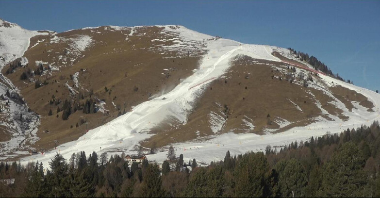 Webcam Bellamonte-Alpe Lusia  - Pista direttissima Le Cune