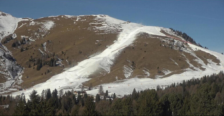 Webcam Bellamonte-Alpe Lusia  - Pista direttissima Le Cune