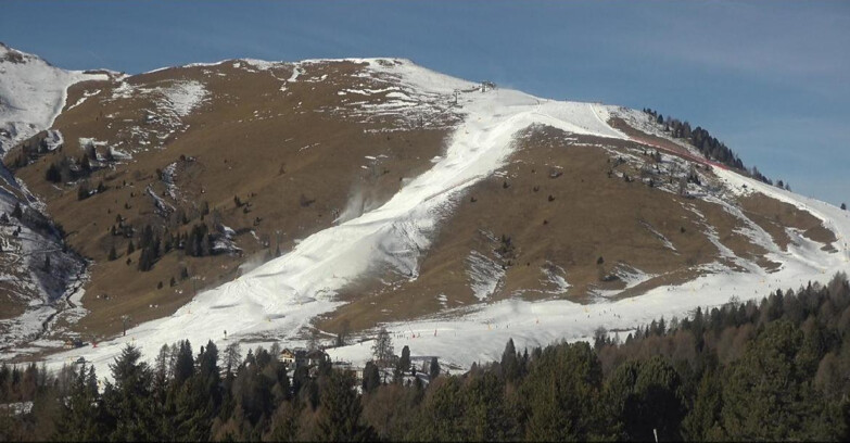 Webcam Bellamonte-Alpe Lusia  - Pista direttissima Le Cune