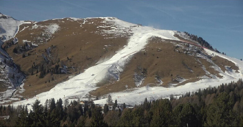 Webcam Bellamonte-Alpe Lusia  - Pista direttissima Le Cune