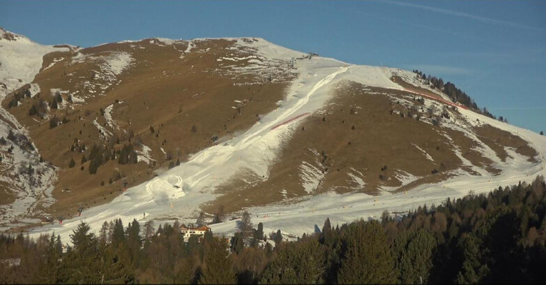 Webcam Bellamonte-Alpe Lusia  - Pista direttissima Le Cune
