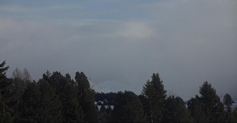 Webcam Bellamonte-Alpe Lusia - Pale di San Martino