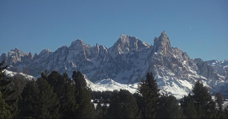 Webcam Bellamonte-Alpe Lusia - Pale di San Martino