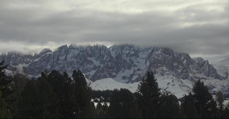 Webcam Bellamonte-Alpe Lusia - Pale di San Martino
