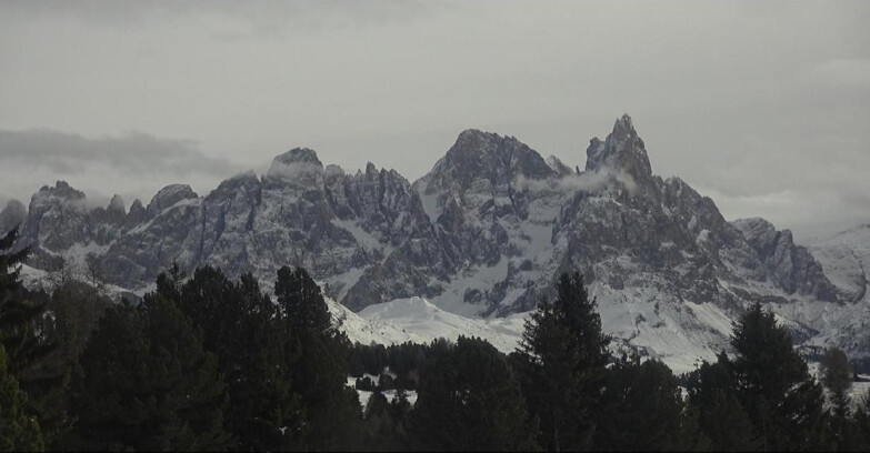 Webcam Bellamonte-Alpe Lusia - Pale di San Martino