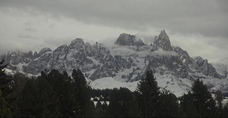 Webcam Bellamonte-Alpe Lusia - Pale di San Martino