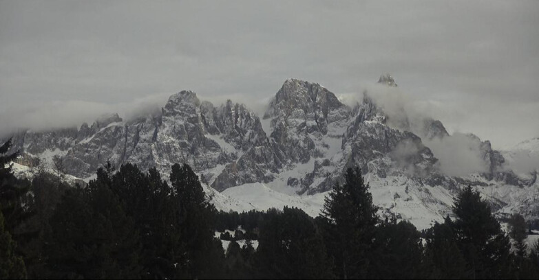 Webcam Bellamonte-Alpe Lusia - Pale di San Martino
