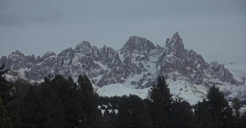 Webcam Bellamonte-Alpe Lusia - Pale di San Martino