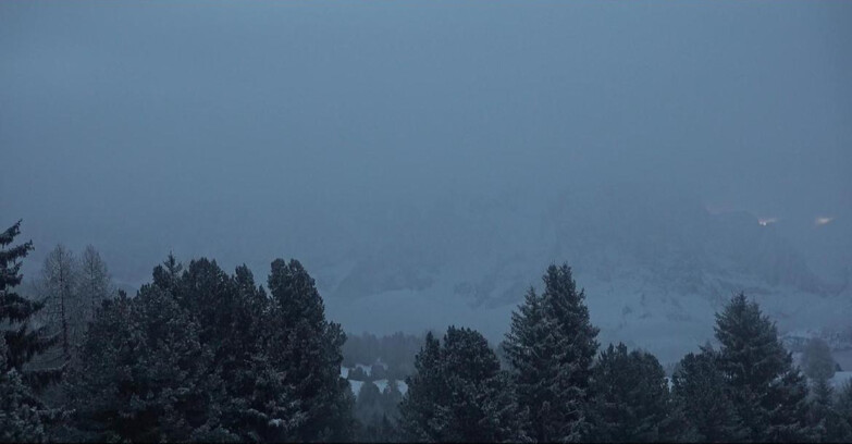 Webcam Bellamonte-Alpe Lusia  - Pale di San Martino