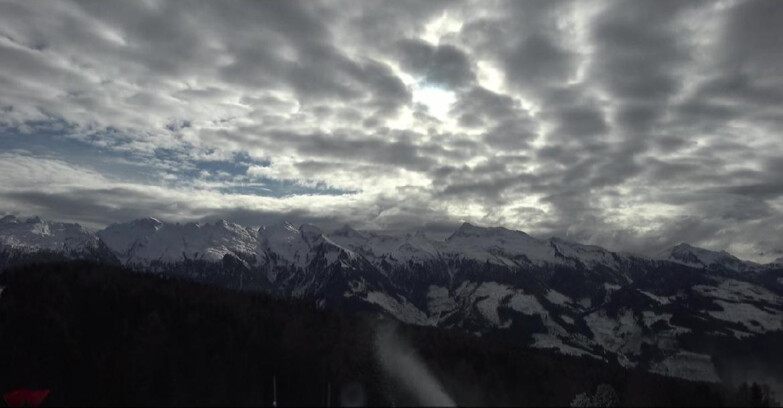 Webcam Bellamonte-Alpe Lusia - Lagorai