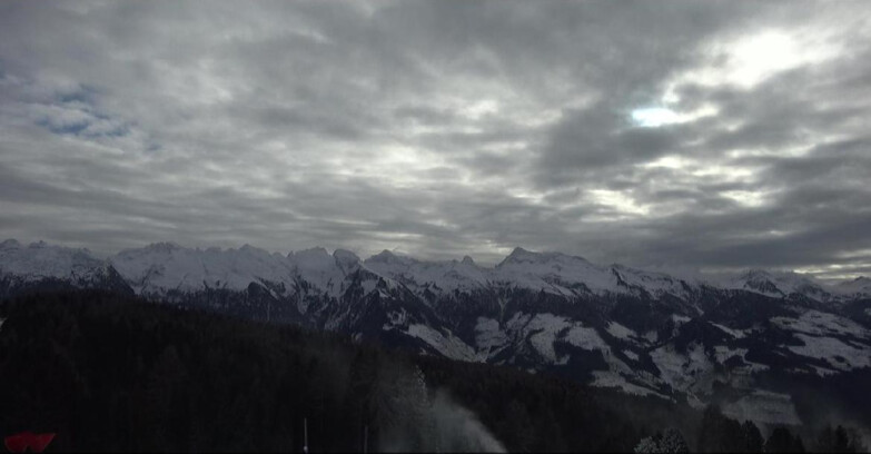 Webcam Bellamonte-Alpe Lusia  - Lagorai