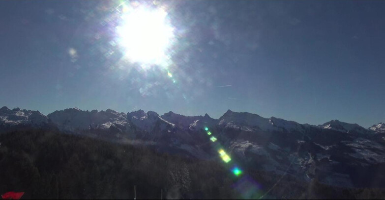 Webcam Bellamonte-Alpe Lusia  - Lagorai