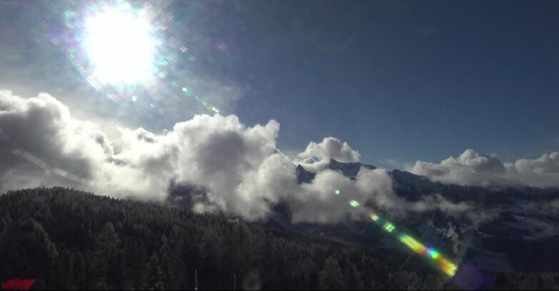 Webcam Bellamonte-Alpe Lusia  - Lagorai