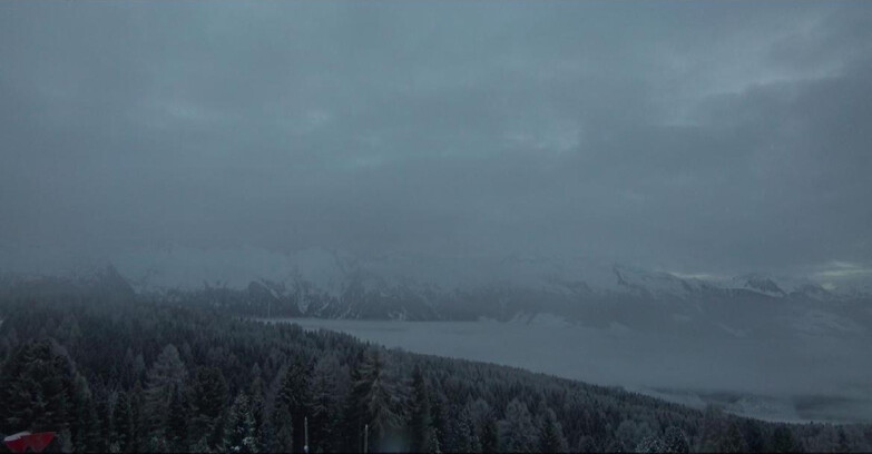 Webcam Bellamonte-Alpe Lusia  - Lagorai