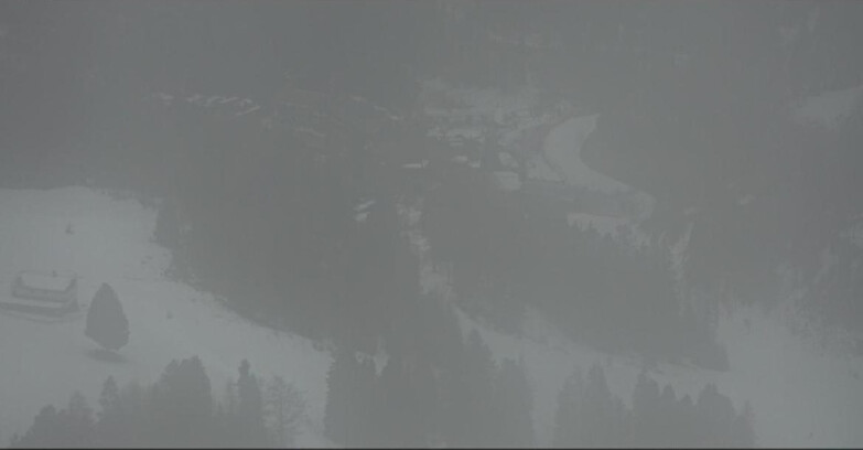 Webcam Pampeago  - Predazzo -  Obereggen - Piste Pampeago