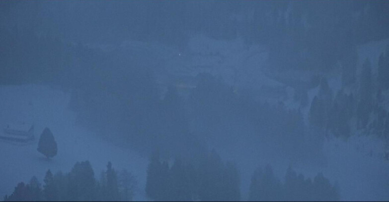 Webcam Pampeago  - Predazzo -  Obereggen - Pampeago Piste