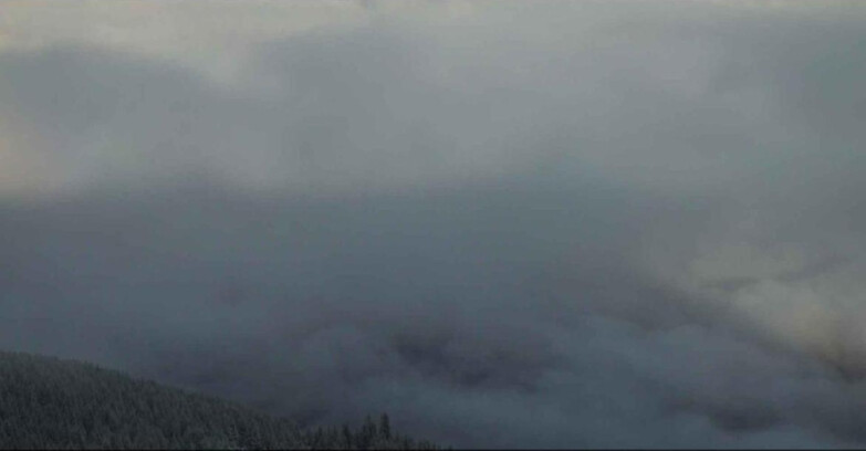 Webcam Альпе-Чермис  - Cavalese