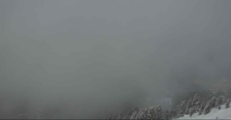 Webcam Alpe Cermis  - Val di Fiemme
