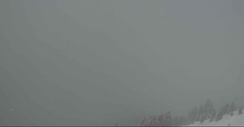 Webcam Alpe Cermis  - Val di Fiemme