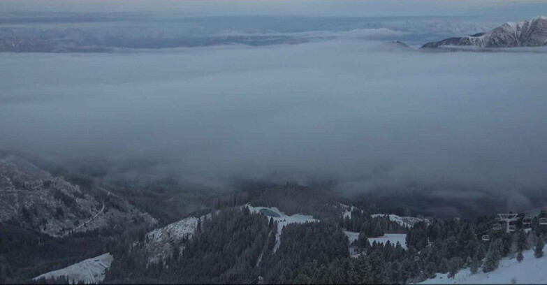 Webcam Alpe Cermis - Val di Fiemme