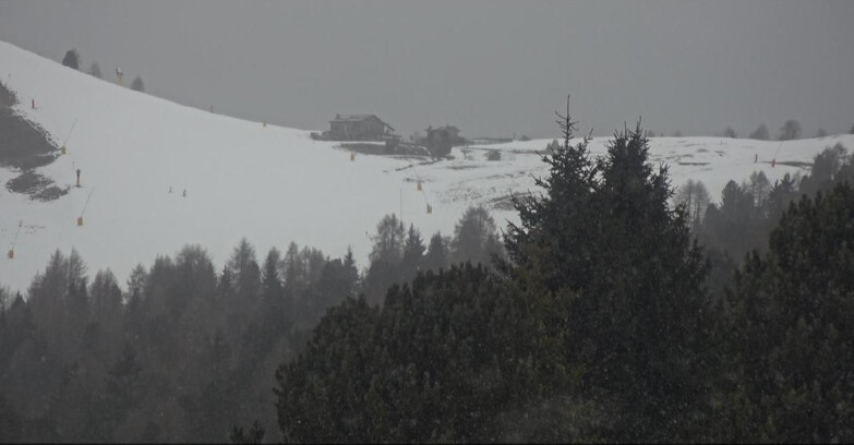 Webcam Bellamonte-Alpe Lusia - Dolomiti slope
