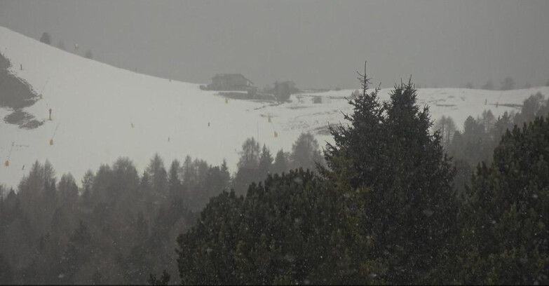 Webcam Bellamonte-Alpe Lusia - Dolomiti slope