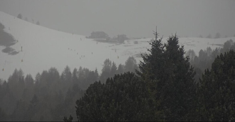 Webcam Bellamonte-Alpe Lusia - Dolomiti slope