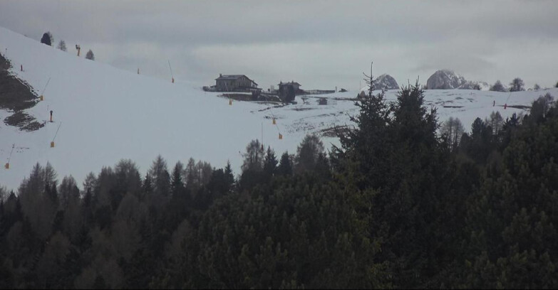 Webcam Bellamonte-Alpe Lusia - Dolomiti slope