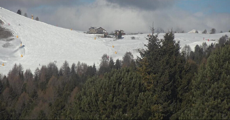 Webcam Bellamonte-Alpe Lusia - Pista Dolomitica