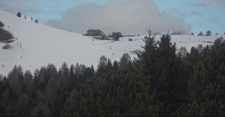 Webcam Bellamonte-Alpe Lusia - Pista Dolomitica