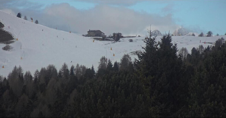 Webcam Bellamonte-Alpe Lusia  - Pista Dolomitica