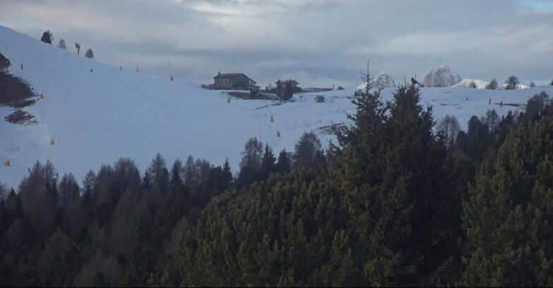 Webcam Bellamonte-Alpe Lusia  - Pista Dolomitica