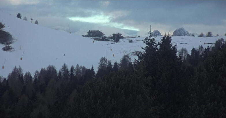 Webcam Bellamonte-Alpe Lusia  - Pista Dolomitica